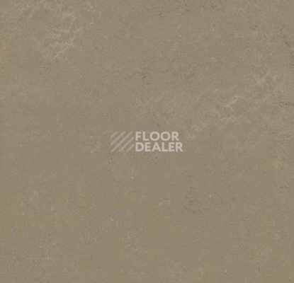 Кварцвиниловые полы Forbo Marmoleum Modular Shade 3721 фото 1 | FLOORDEALER