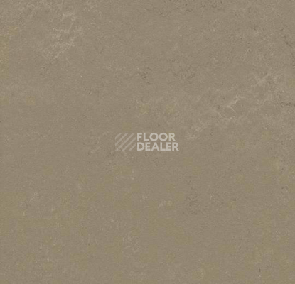 Кварцвиниловые полы Marmoleum Modular Shade 3721 фото 1 | FLOORDEALER