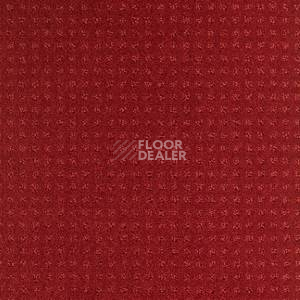 Ковролин Balsan Territoires Atrium 571 фото 1 | FLOORDEALER