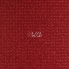 Ковролин Balsan Territoires Atrium 571 фото 1 | FLOORDEALER