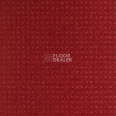 Ковролин Balsan Territoires Atrium 571 фото 1 | FLOORDEALER