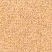 Ковролин Radici Montecarlo 49 фото 1 | FLOORDEALER