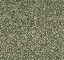 Линолеум Grabo Terrana Top Extra 4139-299 фото 1 | FLOORDEALER