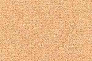 Ковролин Radici Montecarlo 49 фото  | FLOORDEALER