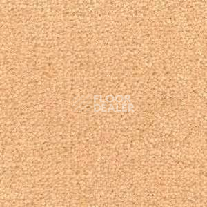 Ковролин Radici Montecarlo 49 фото 1 | FLOORDEALER