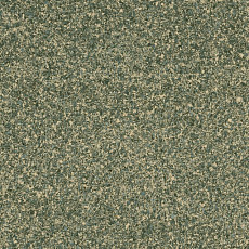 Линолеум Grabo Terrana Top Extra 4139-299 фото 1 | FLOORDEALER