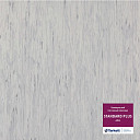 Линолеум Tarkett Standart Plus 494  | FLOORDEALER