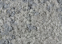 Ковровая плитка ColorKey ColorKey a 06 фото 1 | FLOORDEALER