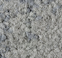 Ковровая плитка ColorKey ColorKey a 06 фото 1 | FLOORDEALER