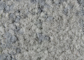 Ковровая плитка ColorKey ColorKey a 06 фото 1 | FLOORDEALER