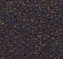 Ковролин Condor Carpets Argus 327 фото 1 | FLOORDEALER