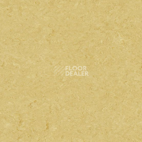 Линолеум Gerflor Marmorette DLW 2.5mm 0076 Pale Yellow фото 1 | FLOORDEALER