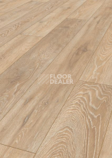 Ламинат Terhurne Grand Line 1482  Дуб Пастельно - Бежевый  1101021577 фото 1 | FLOORDEALER