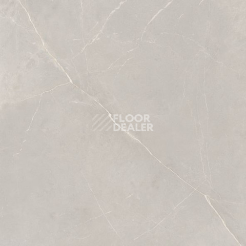 Nolana ( Нолана ) 60 x 60 x10 NL02 фото 10 | FLOORDEALER