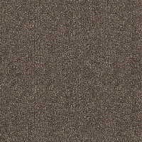 Ковролин Tarkett Dragon Dragon 31431 фото 1 | FLOORDEALER