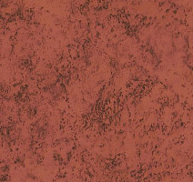 Линолеум Novoflor Standard 3100_20 фото 1 | FLOORDEALER