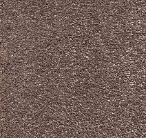 Ковролин AW Sophistication 37 фото 1 | FLOORDEALER