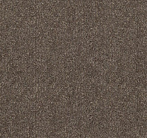 Ковролин Tarkett Dragon Dragon 31431 фото 1 | FLOORDEALER