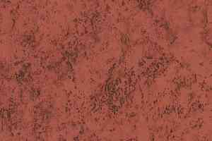 Линолеум Novoflor Standard 3100_20 фото  | FLOORDEALER