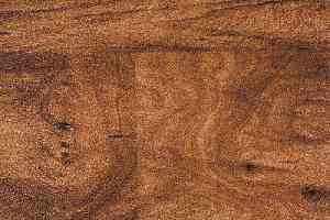 Линолеум Novoflor Standard 4800_5 фото  | FLOORDEALER