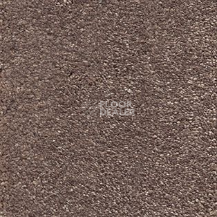 Ковролин AW Sophistication 37 фото 1 | FLOORDEALER
