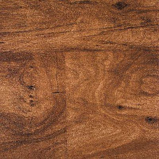 Линолеум Novoflor Standard 4800_5 фото 1 | FLOORDEALER