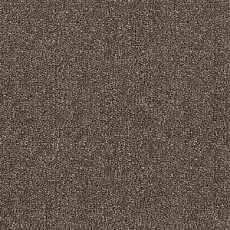 Ковролин Tarkett Dragon Dragon 31431 фото 1 | FLOORDEALER