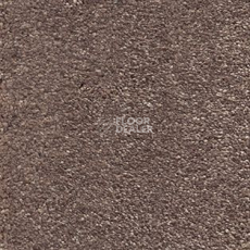 Ковролин AW Sophistication 37 фото 1 | FLOORDEALER