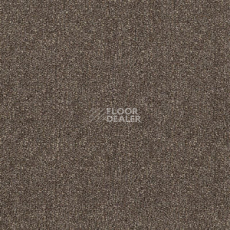 Ковролин Tarkett Dragon Dragon 31431 фото 1 | FLOORDEALER