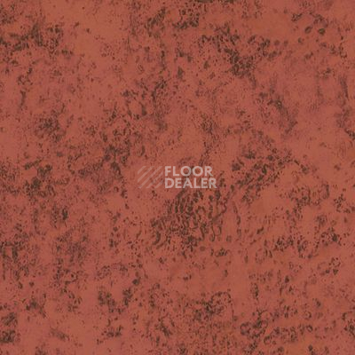 Линолеум Novoflor Standard 3100_20 фото 1 | FLOORDEALER