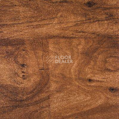 Линолеум Novoflor Standard 4800_5 фото 1 | FLOORDEALER