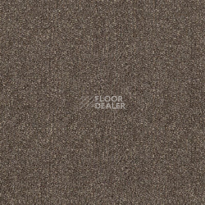 Ковролин Tarkett Dragon Dragon 31431 фото 1 | FLOORDEALER