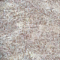 Ковролин AW Sierra 34 фото 1 | FLOORDEALER