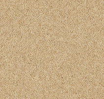 Ковровая плитка Westbond Natural w 12791U фото 1 | FLOORDEALER