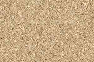 Ковровая плитка Westbond Natural w 12791U фото  | FLOORDEALER