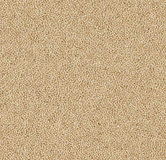 Ковровая плитка Westbond Natural w 12791U фото 1 | FLOORDEALER