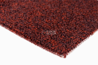 Big  Studio 443 фото 4 | FLOORDEALER