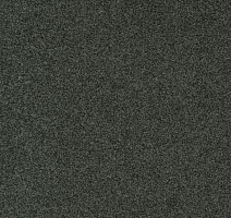 Ковролин Gleam W2W 615 Gleam w2w фото 1 | FLOORDEALER