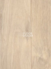 Линолеум Grabo Silver Knight Acoustic 7 1189_384_873 фото 1 | FLOORDEALER