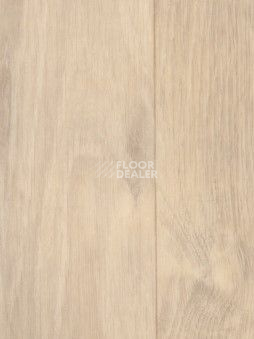 Линолеум Grabo Silver Knight Acoustic 7 1189_384_873 фото 1 | FLOORDEALER