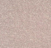 Ковролин Tarkett Dragon Dragon 82131 фото 1 | FLOORDEALER