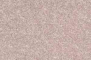 Ковролин Tarkett Dragon Dragon 82131 фото  | FLOORDEALER