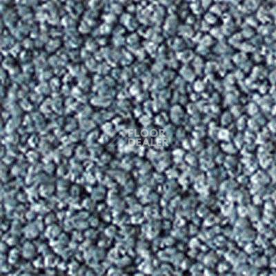 Ковролин Girloon Prestige 550 фото 1 | FLOORDEALER