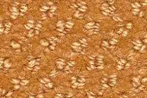 Ковролин Balsan Aquarelle Aquarelle 335 фото  | FLOORDEALER