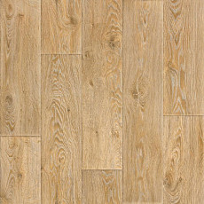 Линолеум Tarkett Evolution Raymond 2 фото 1 | FLOORDEALER