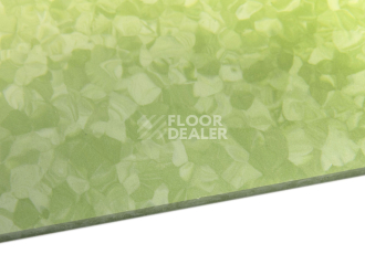 Tarkett iq Melodia 2621 фото 5 | FLOORDEALER
