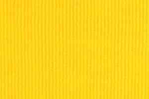 Ковролин Tapibel Secura 4835 фото  | FLOORDEALER