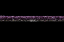 Season - Summer / Winter 880 фото 3 | FLOORDEALER