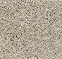 Ковролин Vorwerk Lyrica 8e56 фото 1 | FLOORDEALER