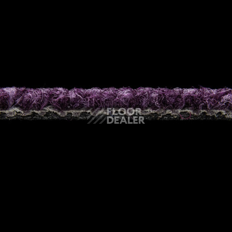 Balsan Season - Summer / Winter 880 фото 3 | FLOORDEALER
